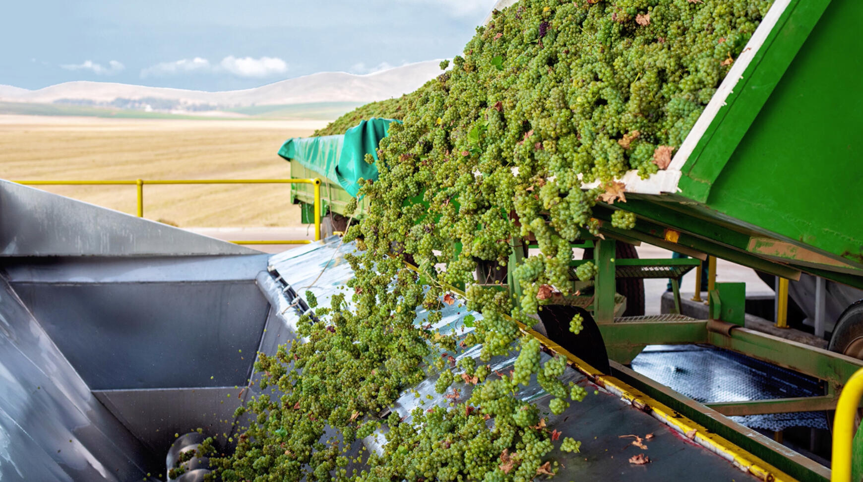 Koovha Sustainability